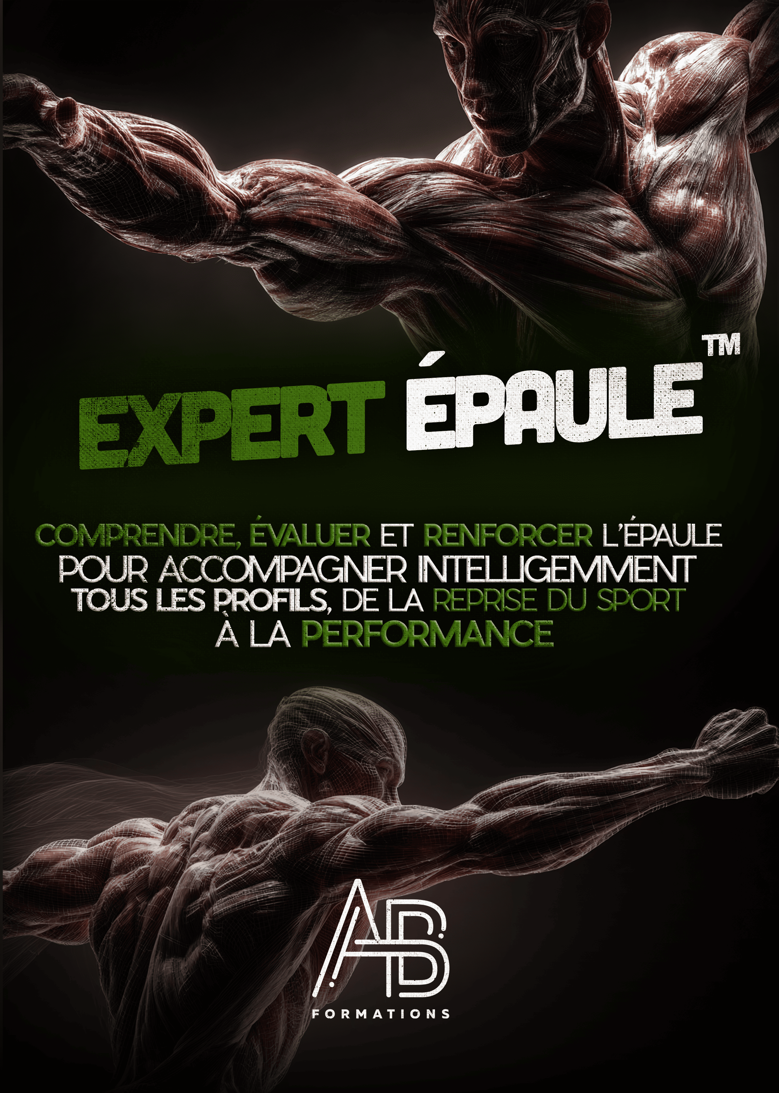 Formation Expert Épaule — Devenir expert de l’épaule : analyse, renforcement, réathlétisation et performance.