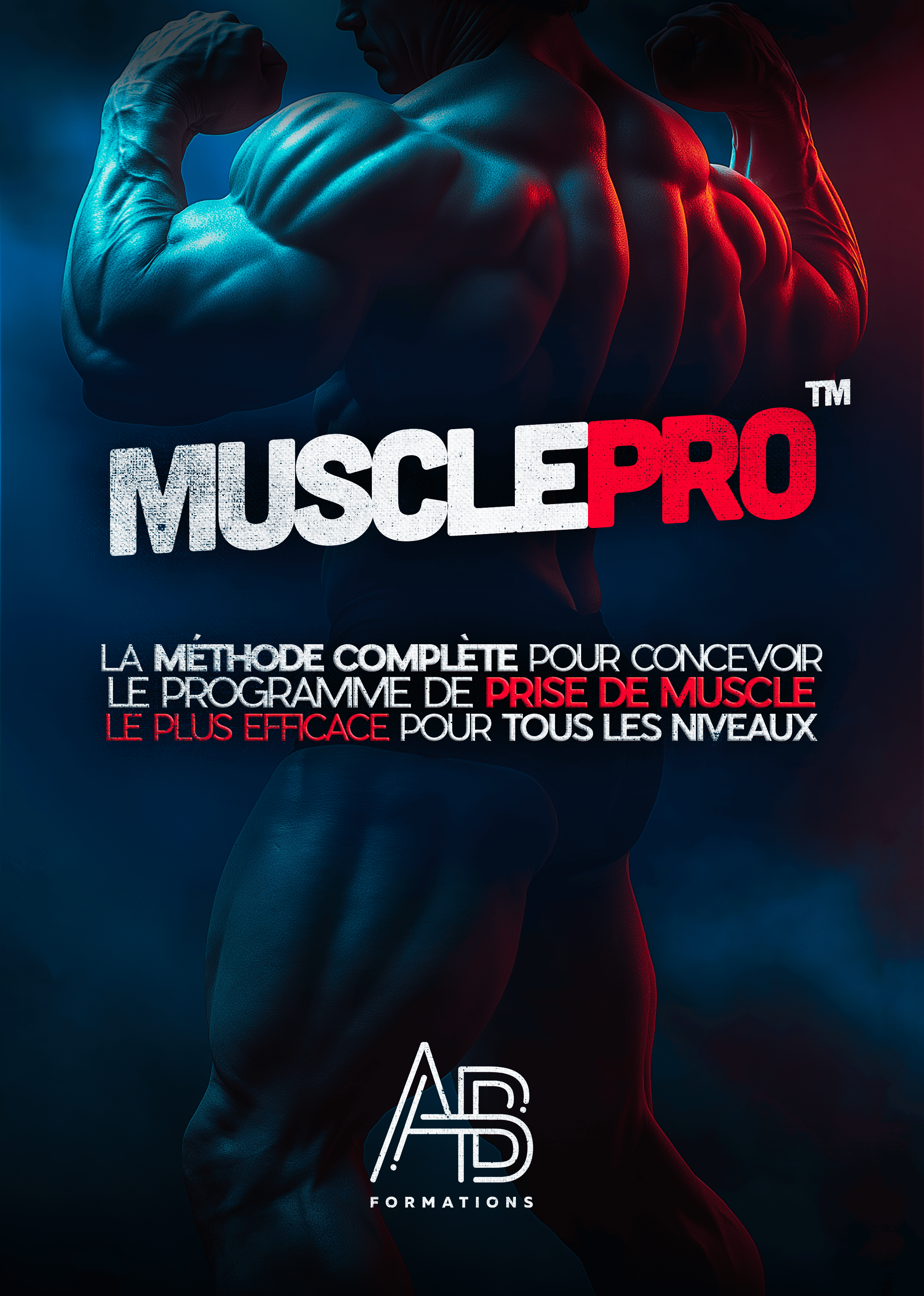 Formation MusclePro — Construire le programme de prise de muscle le plus efficace.