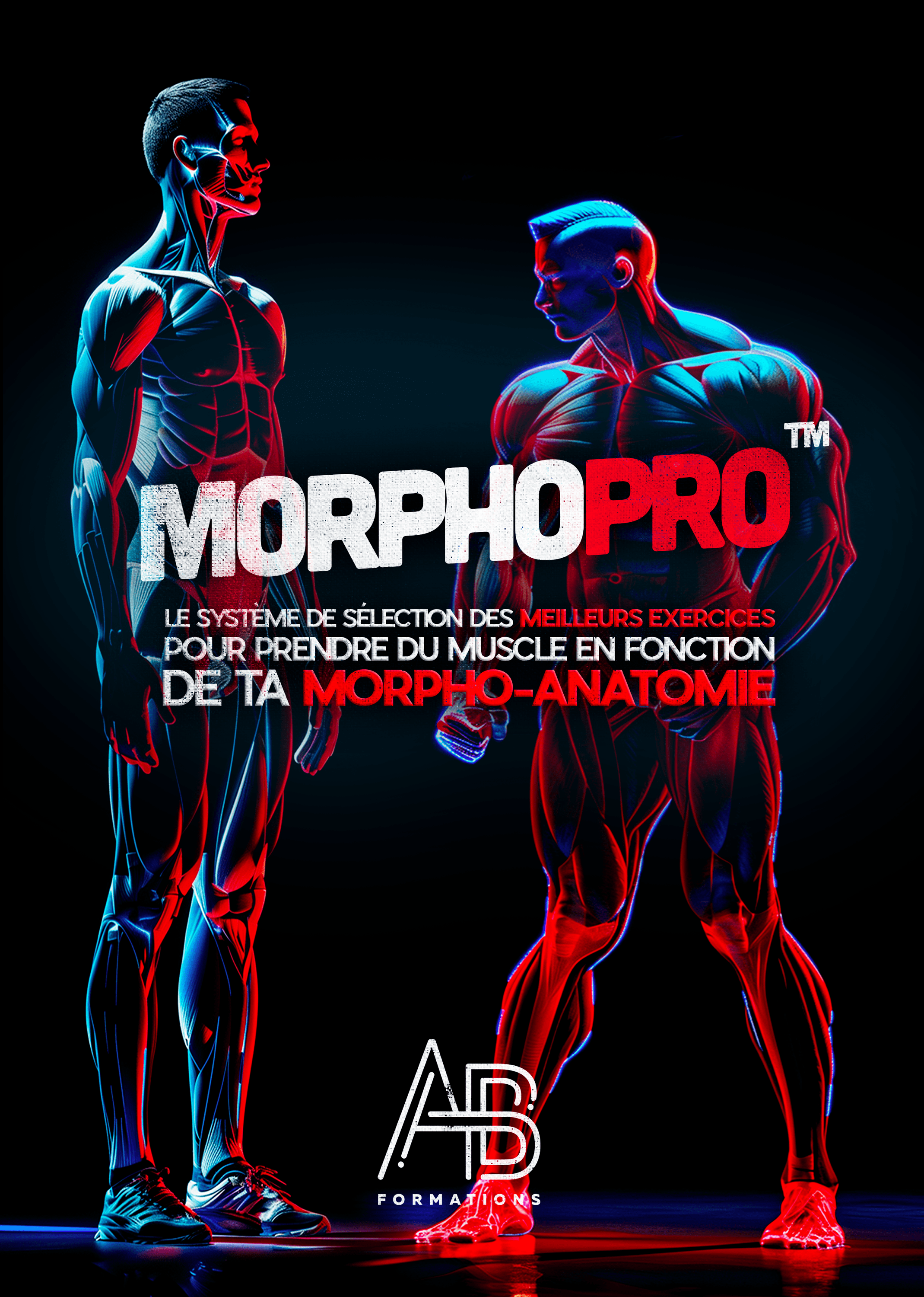 Formation MorphoPro — Choisir les meilleurs exercices selon la morphologie et la biomécanique.